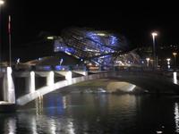 Lyon. Musée des Confluences