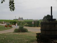 Puligny-Montrachet. Weinfelder