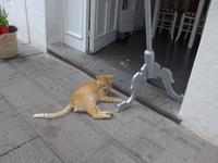 Italien, Vulkane, Salina