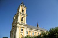 Kalosca