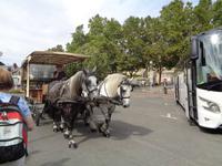 Kutschfahrt in Blois