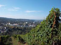 Rhein und Mosel – Blick auf Trier
