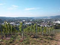 Rhein und Mosel – Blick auf Trier
