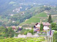 15.09.2016 Dorf Tirol