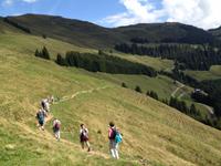 schmale Pfade zierten unseren Weg