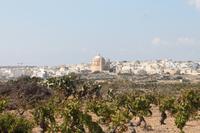 Blick auf die Eierkirche