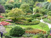 105 Vancouver Island - Butchart Garden