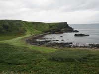 Bucht am Giants Causeway