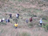 Am Aasleagh Waterfall