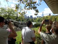 Central Park