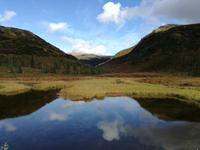 Tagestour in den Denali-Nationalpark