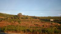 Weinterrassen am Douro