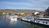 Hafen von Regua