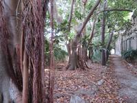 Ausflug nach Capri - Kartäuserkloster