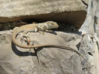 Wanderung von Agerola nach Amalfi