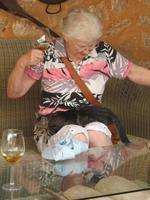 Mallorca - Inselrundfahrt - Besuch im Weingut Bodegas Angel in Santa Maria del Camí