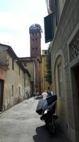 Lucca (Altstadt - Torre Guinigi)