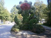 Schön gestaltete Blume, Favorit der Fotografen