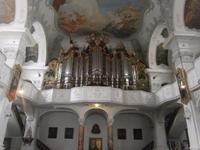 Die Orgel des Münsters