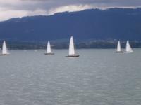 Segelboote auf dem Bodensee