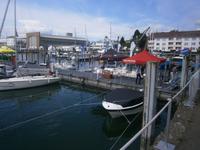 Blick auf das Ausstellungsgelände