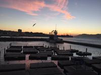 Sonnenuntergang in San Francisco