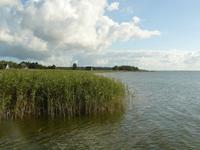 Bodden bei Born