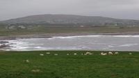 Downpatrick Head