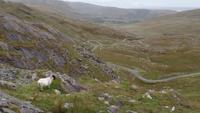 Healy Pass