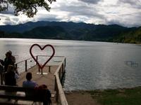 Bled 