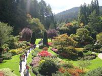 Butchart Garden in Vancouver Island