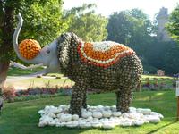 Kürbisausstellung Ludwigsburg (4)