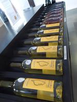 105 Weingut Patrimonio