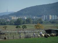 Vom Schloss reicht der Blick bis Budapest