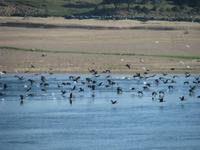 Vogelparadies Loiretal