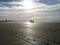 La Baule