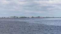 Hafen von Vitte