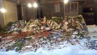 Catania, Stadtführung mit Simon,Besuch des Fisch-und Gemüsemarkts