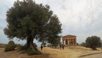Agrigento,Archäologische Stätten , Tal der Tempel, Concordiatempel 
