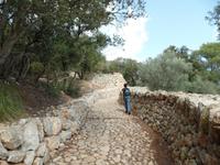 Singlereise Mallorca Wandern