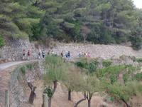 Singlereise Mallorca Wandern