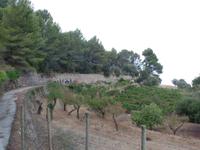 Singlereise Mallorca Wandern