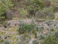 Singlereise Mallorca Wandern