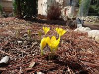 Singlereise Mallorca Wandern