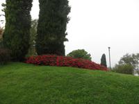 Park Giadino Sigurta