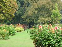 Park Giadino Sigurta