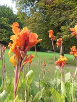 Park Giadino Sigurta