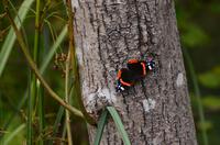 109 NP Plitvicer Seen