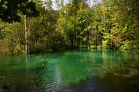 120 NP Plitvicer Seen