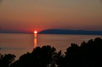 265 Tucepi, Hotel Alga